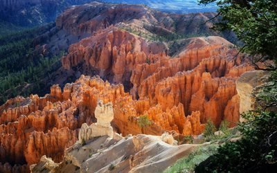 Bryce Canyon, rocce arancioni, canyon, rocce sabbiose, Utah, USA, Parco nazionale di Bryce Canyon