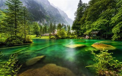 Swiss nature, summer, forest, lake, mountains, Switzerland, Europe, beautiful nature