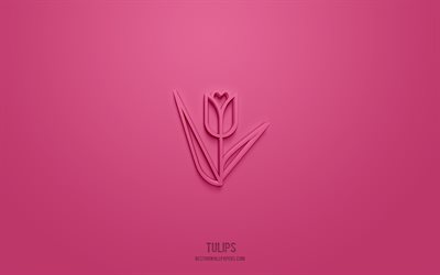 Tulips 3d icon, pink background, 3d symbols, Tulips, flowers icons, 3d icons, Tulips sign, flowers 3d icons
