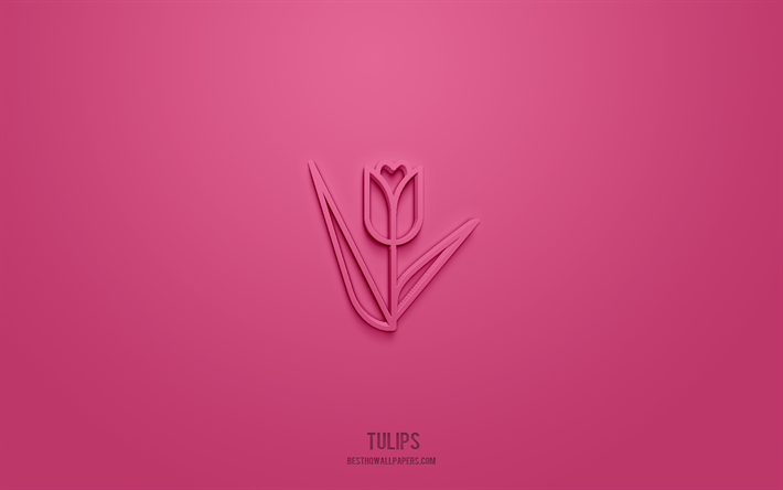 Tulips 3d icon, pink background, 3d symbols, Tulips, flowers icons, 3d icons, Tulips sign, flowers 3d icons