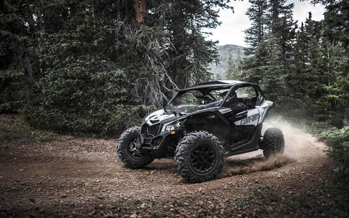 x3 off road buggy