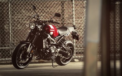 4k, Yamaha XSR900, 2018 v&#233;los, superbikes, de nouvelles XSR900, japonais de motos, Yamaha