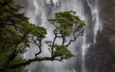 bela cachoeira, floresta, &#225;gua, rochas, Dem&#244;nios Cai, Arthurs Pass parque nacional, Nova Zel&#226;ndia