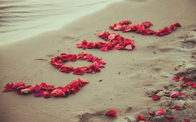Amore, petali di fiori rossi, dichiarazione d&#39;amore, idea, spiaggia, sabbia, sera, tramonto