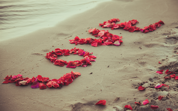 Amor, p&#233;talas de flores vermelhas, declara&#231;&#227;o de amor, ideia, praia, areia, noite, p&#244;r do sol