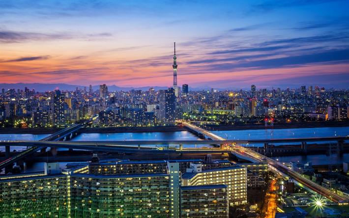Tokyo, Japonya, g&#246;kdelenler, gece, Metropol, şehir, Şehir ışıkları, skyline