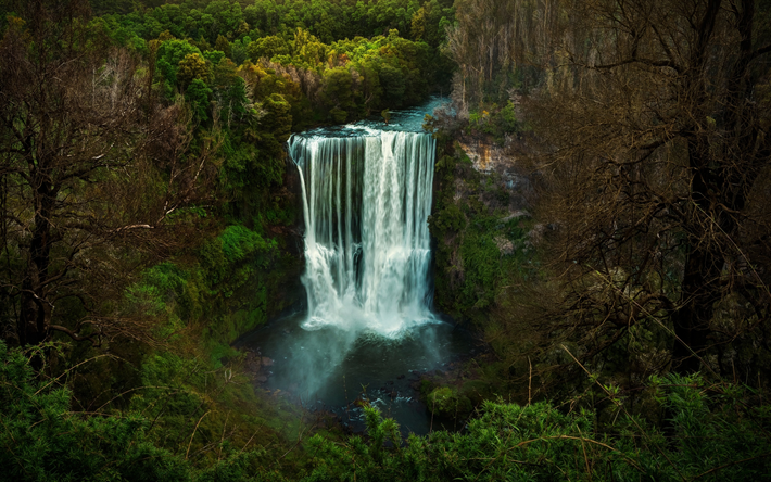 waterfall, mountain river, lake, rainforest, green trees, water