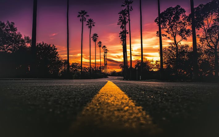 Calif&#243;rnia, noite, p&#244;r do sol, palmeiras, linha amarela na estrada de asfalto, EUA, belo p&#244;r do sol na Calif&#243;rnia