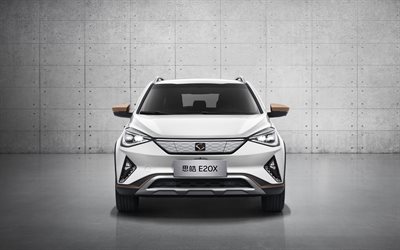 Sol E20X, 4k, front view, 2020 cars, crossovers, electric cars, 2020 Sol E20X