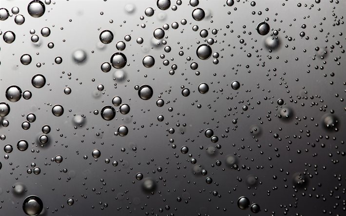 water bubbles texture, macro, bubbles on glass, bubbles, gray backgrounds, gray water background, water textures, bubbles textures