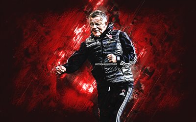 Chris Wilder, Sheffield United FC, football coach, portrait, red stone background, football, Premier League, England