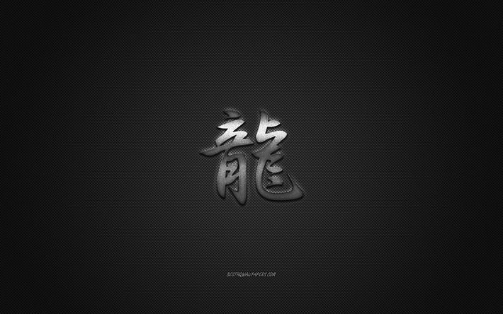 drache, japanische schriftzeichen, metall-zeichen, dragon kanji-symbol, schwarzer carbon-textur, dragon kanji-symbol japanische zeichen f&#252;r drache, kanji, drache hieroglyphe