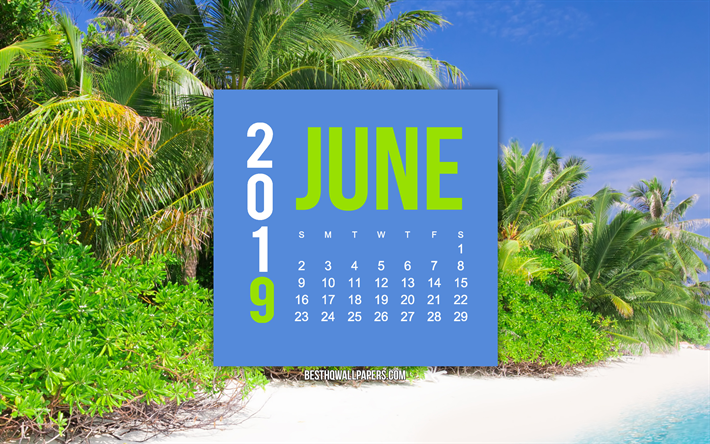 2019 juni kalender, tropische insel, sommer, hintergrund, 2019 kalender, kunst, juni 2019 kalender