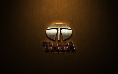 Tata glitter logo, cars brands, creative, bronze metal background, Tata logo, brands, Tata