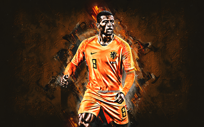 Georginio Wijnaldum, Dutch soccer player, Netherlands national football team, portrait, football, creative art