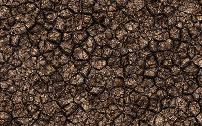cracked ground texture, ground brown background, dry ground concepts, natural textures
