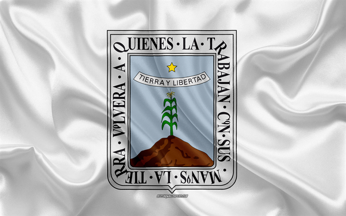thumb2-flag-of-morelos-4k-silk-flag-mexican-state-morelos-flag.jpg