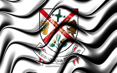 Kildare flag, 4k, Counties of Ireland, administrative districts, Flag of Kildare, 3D art, Kildare, irish counties, Kildare 3D flag, Ireland, United Kingdom, Europe