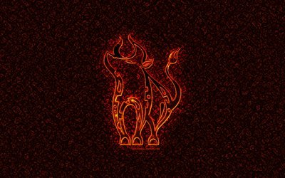 Ox zodiac, chinese zodiac, burning signs, Chinese calendar, Ox zodiac sign, Chinese Zodiac Signs, creative, Ox