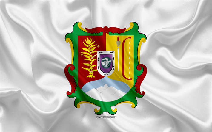 thumb2-flag-of-nayarit-4k-silk-flag-mexican-state-nayarit-flag.jpg