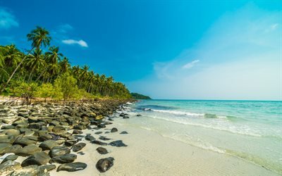 ilha tropical, praia de luxo, oceano, lagoa azul, selva, areia, palmeiras, ver&#227;o viagens
