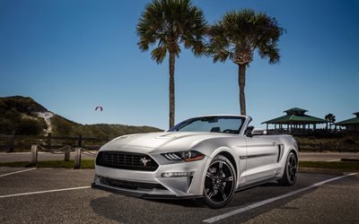 Ford Mustang GT Convertible, 2019, sports coupe, silver cabriolet, exterior, front view, new silver mustang, American cars, Califorina, USA, Ford