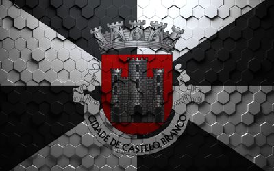 Flag of Castelo Branco, honeycomb art, Castelo Branco hexagons flag, Castelo Branco 3d hexagons art, Castelo Branco flag