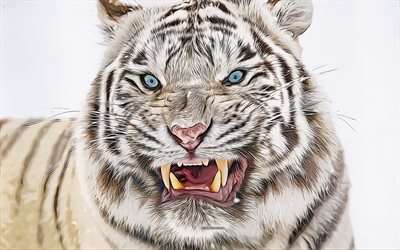 vit tiger, rovdjur, 4k, vektorkonst, vit tigerteckning, kreativ konst, vit tigerkonst, vektorteckning, abstrakta djur, tigrar, rasande vit tiger