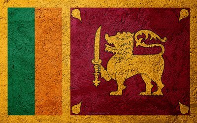 Sri Lanka bayrağı, beton doku, taş, arka plan, Sri Lanka bayrak, Asya, Sri Lanka, taş bayraklar