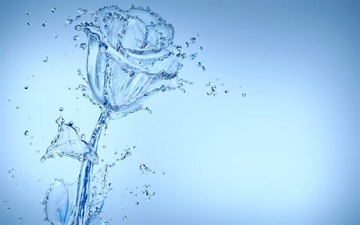 rose of water, water splashes, water rose, blue background, flower of water, creative