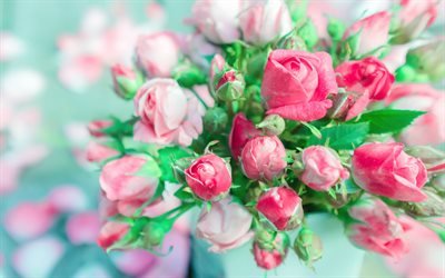 ピンク色のバラの花束, 4k, ボケ, ブーケのバラの花, ピンクの花, バラ, 芽