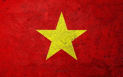 Flag of Vietnam, concrete texture, stone background, Vietnam flag, Asia, Vietnam, flags on stone