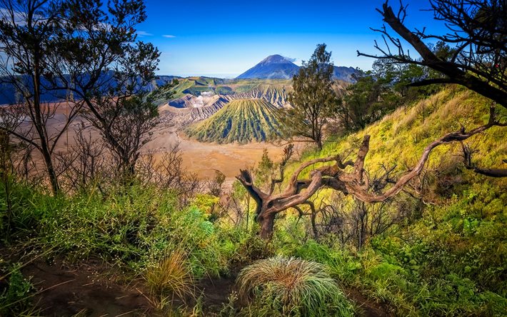 Mount Bromo, HDR, volcano, beautiful nature, Indonesia, Asia