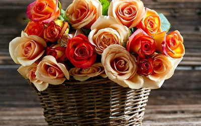 cesta com rosas, presente, lindas rosas, decora&#231;&#227;o floral, rosas vermelhas