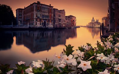 Grand Canal, 4k, italian cities, Venice, summer, Italy, Europe, venetian canals, italian landmarks, Venice at morning