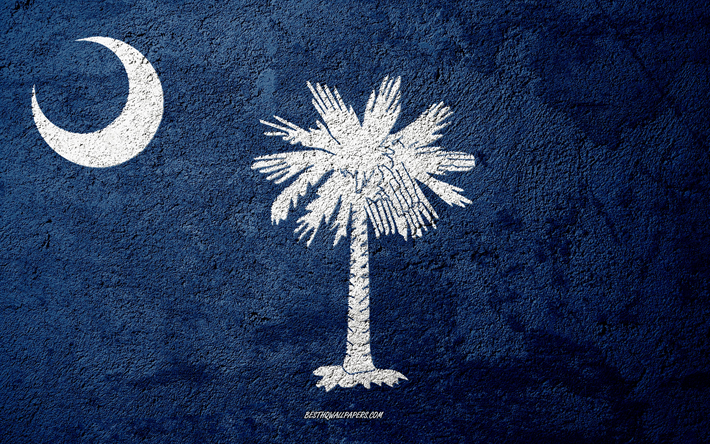 Bandeira do Estado da Carolina do Sul, textura de concreto, pedra de fundo, Carolina do sul bandeira, EUA, A Carolina Do Sul, bandeiras da pedra, Bandeira da Carolina do Sul