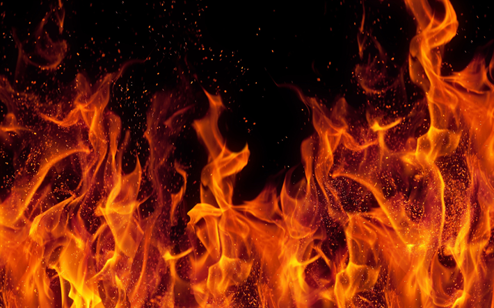fire flames, 4k, orange flames, macro, bonfire, flames of fire, orange fire texture