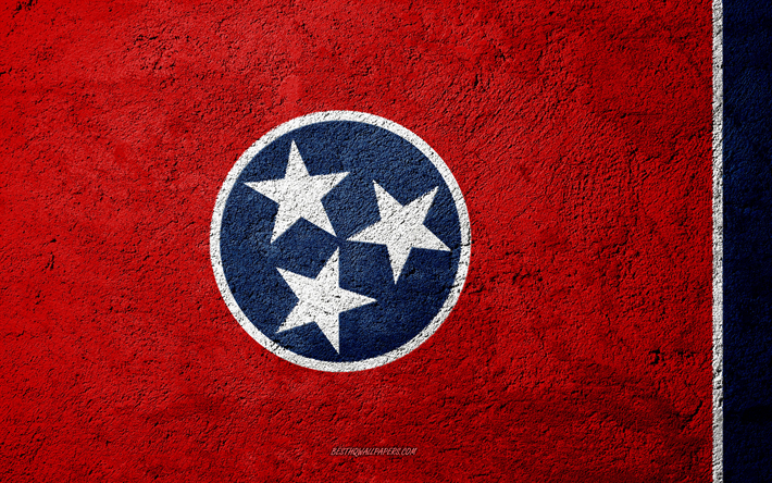 Flag of State of Tennessee, concrete texture, stone background, Tennessee flag, USA, Tennessee State, flags on stone, Flag of Tennessee