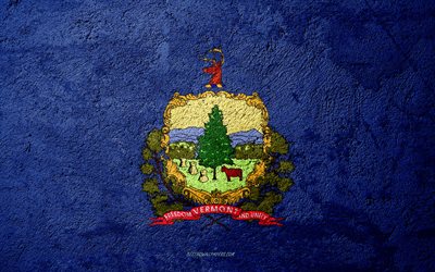 Flag of State of Vermont, concrete texture, stone background, Vermont flag, USA, Vermont State, flags on stone, Flag of Vermont