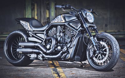 Harley-Davidson VRSCDX, tuning, 2019 v&#233;los, superbikes, personnalis&#233; motos, 2019 Harley-Davidson VRSCDX, american motos, Harley-Davidson