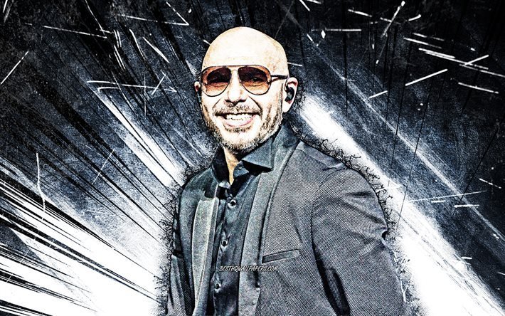 Pitbull, rayons abstraits blancs, rappeur am&#233;ricain, stars de la musique, Armando Christian Perez Acosta, c&#233;l&#233;brit&#233; am&#233;ricaine, cr&#233;atif, Pitbull 4K