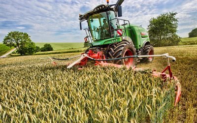 Fendt Katana, wheat harvesting, 2020 combines, EU-spec, combine, combine-harvester, agricultural machinery, Fendt