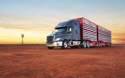 Freightliner Cascadia, camion semi-remorque robuste, train routier, gros camions, transport de marchandises, concepts de livraison, Freightliner