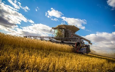 Fendt Ideal 8, 4k, wheat harvesting, 2020 combines, black combine, combine-harvester, harvesting concepts, agricultural machinery, Fendt