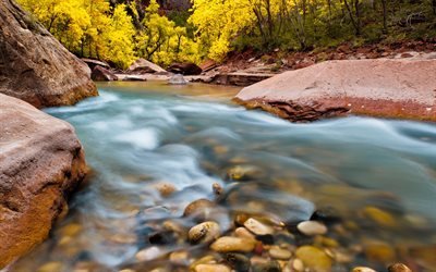 flod, kv&#228;ll, solnedg&#229;ng, bergslandskap, sommar, Zion National Park, Utah, USA