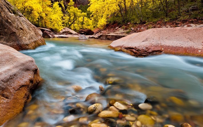 河川, bonsoir, sunset, 山の風景, 夏。, ザイオン国立公園, ユタ, アメリカ