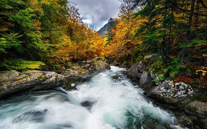 Salenques River, berg river, h&#246;st, kv&#228;ll, bergslandskapet, Aragon, Spanien, Posets-Maladeta Natural Park