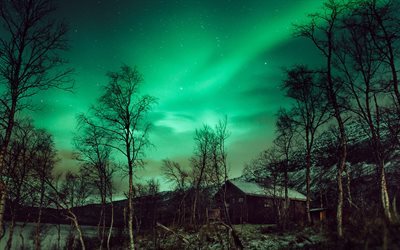 aurora borealis, Kuzey, kış, gece, gece g&#246;ky&#252;z&#252;