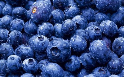 blueberries, berries, lots of blueberries