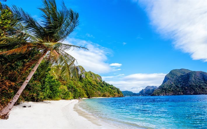 plaj, Filipinler, adalar, palmiye ağa&#231;ları, kum, okyanus